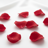 Red rose petals scattered on a white surface