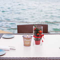 Citronella Fragrant Soy Wax Candles 10pcs – Mosquito Repellent – Perfect for Birthdays and Gifts - candletown.net