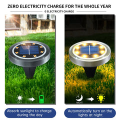 Solar Ground Lights for Garden Paths