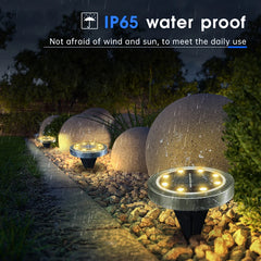 Solar Ground Lights for Garden Paths