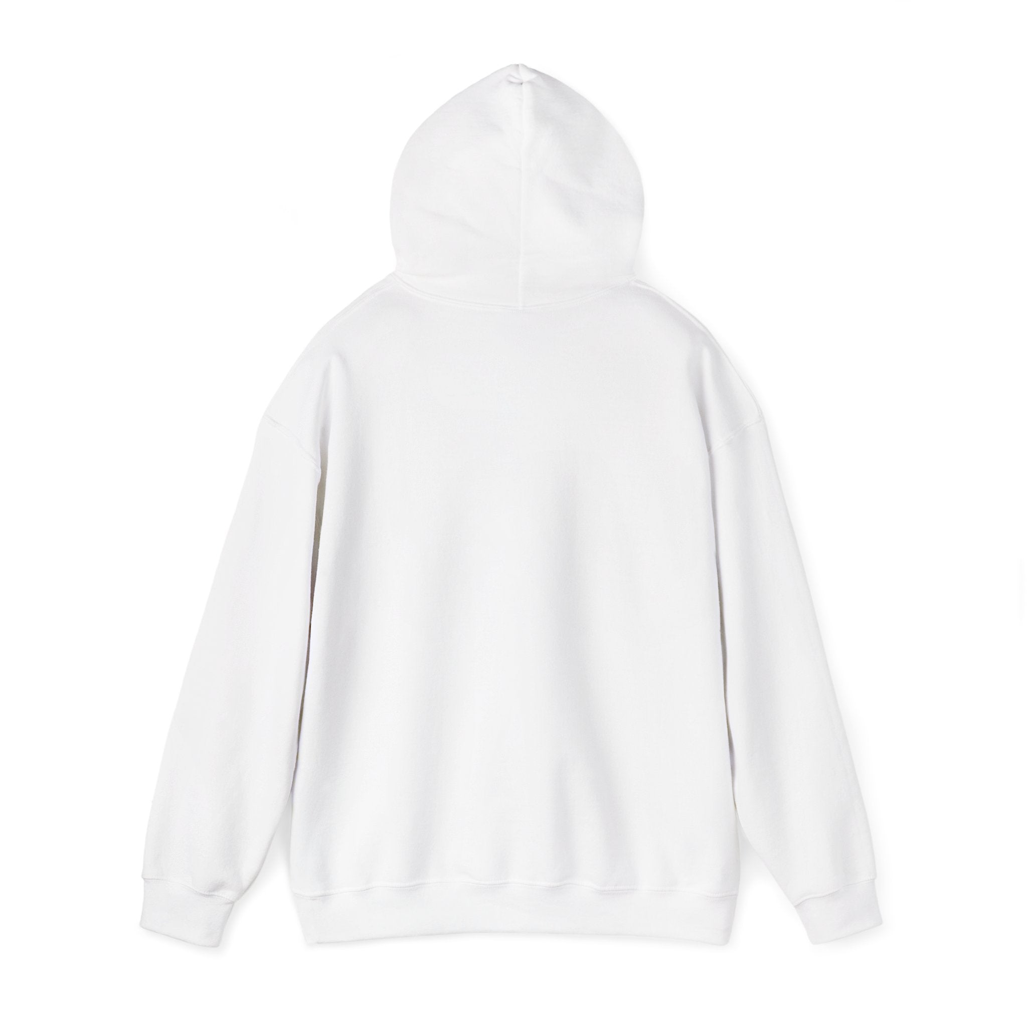 AATEE81 – Hyvät Bileet – Unisex huppari