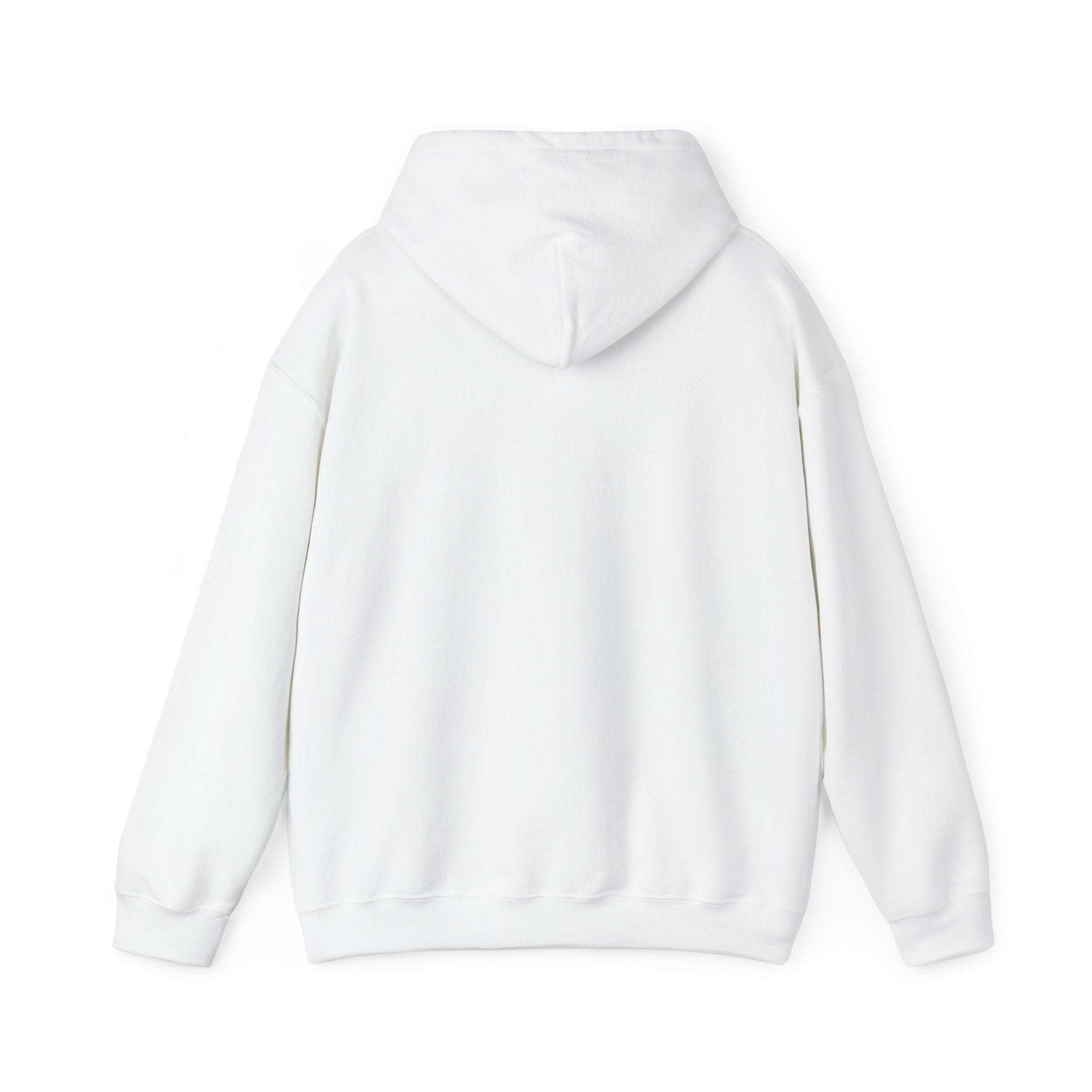 AATEE81 – Hyvät Bileet – Unisex huppari