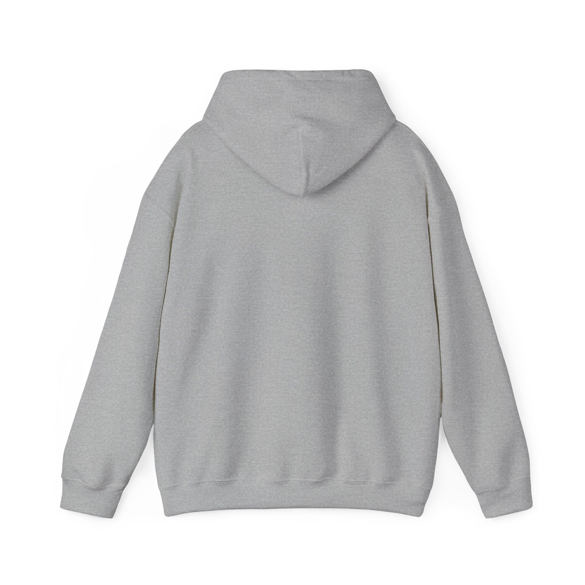 AATEE81 – Hyvät Bileet – Unisex huppari