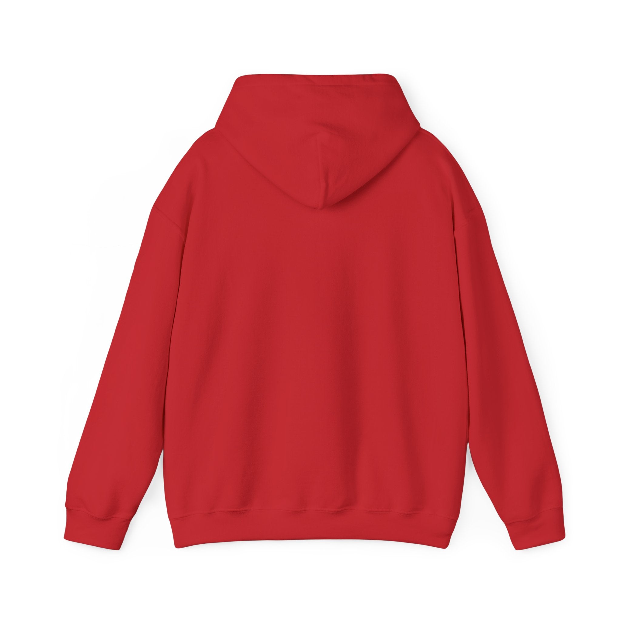 AATEE81 – Hyvät Bileet – Unisex huppari
