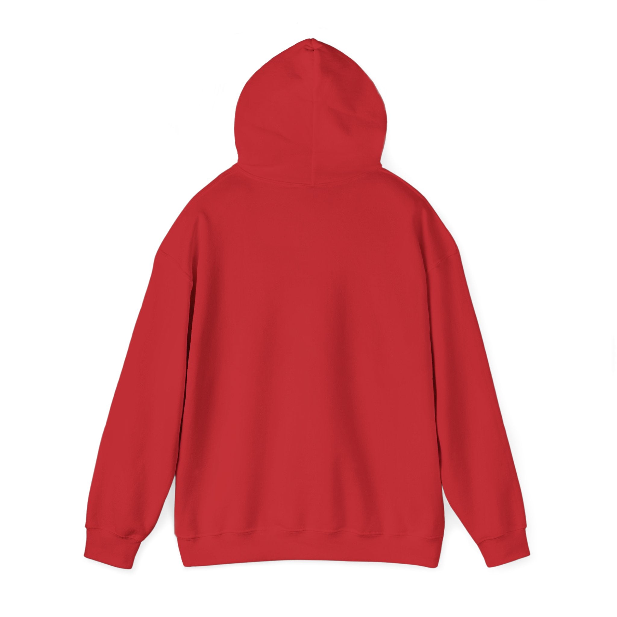 AATEE81 – Hyvät Bileet – Unisex huppari