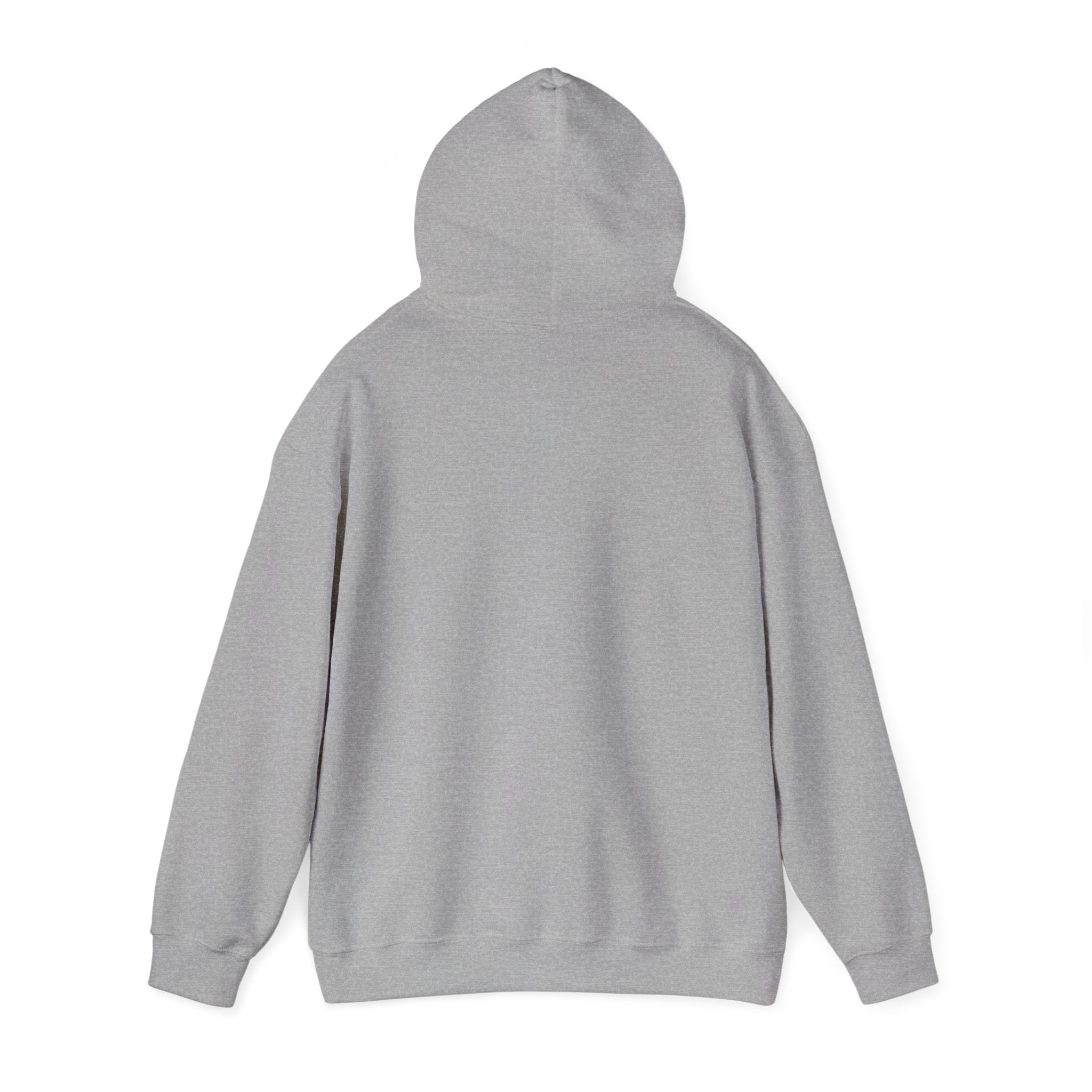 AATEE81 – Hyvät Bileet – Unisex huppari