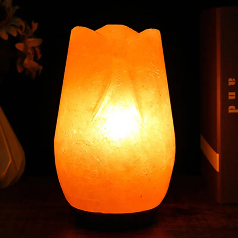 Himalayan Salt Crystal Lamp – Natural Rock Night Light - candletown.net