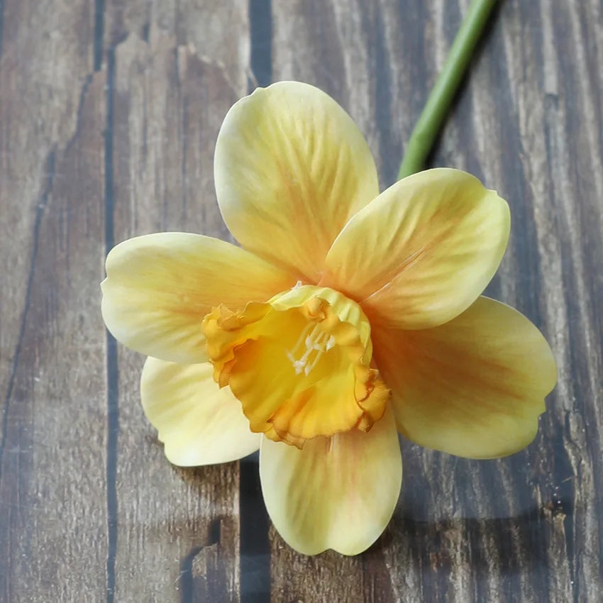 20PCS Artificial Daffodil Flowers – Real Touch Spring Blooms - candletown.net